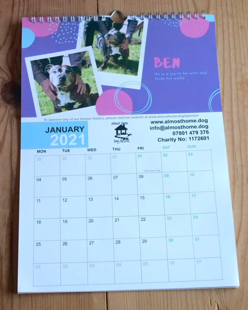 Shop Almost Home Dog Rescue   Ah Calendar 2021 2 